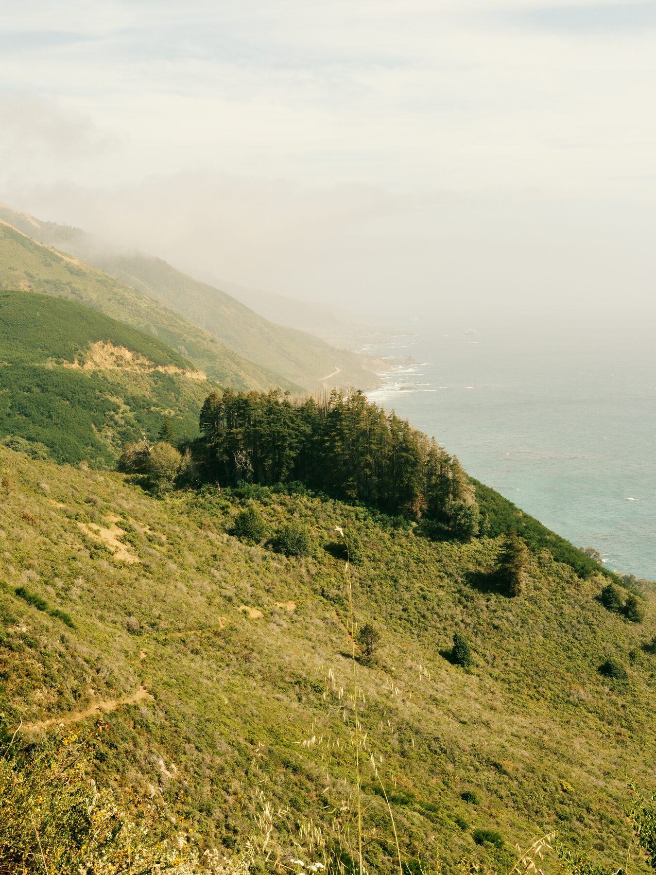 Big Sur coastline fading into haze