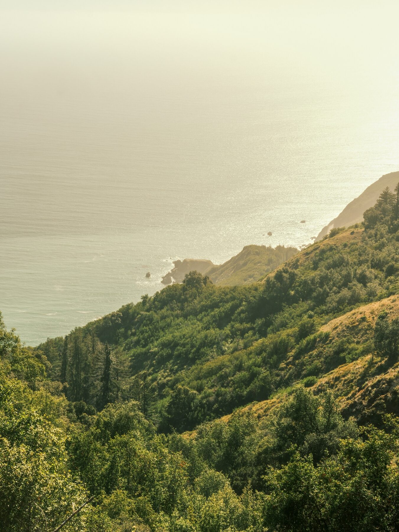 Big Sur hills dropping into the Pacific